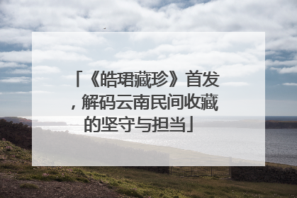 《皓珺藏珍》首发，解码云南民间收藏的坚守与担当