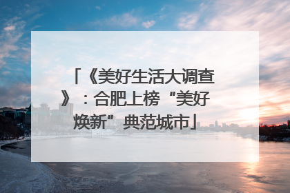 《美好生活大调查》：合肥上榜“美好焕新”典范城市