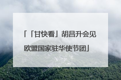 「甘快看」胡昌升会见欧盟国家驻华使节团