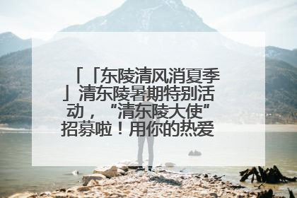 「东陵清风消夏季」清东陵暑期特别活动，“清东陵大使”招募啦！用你的热爱守护世界遗产！