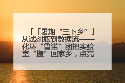 「暑期“三下乡”」从试剂瓶到数据流——化环“鲁诺”团把实验室“搬”回家乡，点亮桑梓求知路