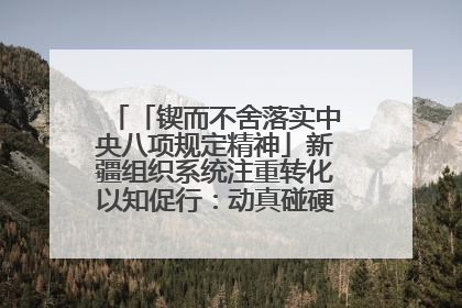 「锲而不舍落实中央八项规定精神」新疆组织系统注重转化以知促行：动真碰硬抓好整改整治