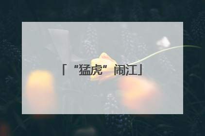 “猛虎”闹江
