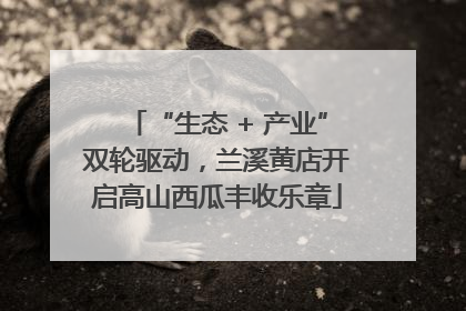 “生态 + 产业”双轮驱动，兰溪黄店开启高山西瓜丰收乐章