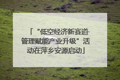 “低空经济新赛道·管理赋能产业升级”活动在萍乡安源启动