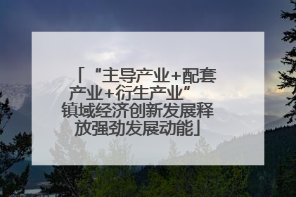 “主导产业+配套产业+衍生产业” 镇域经济创新发展释放强劲发展动能