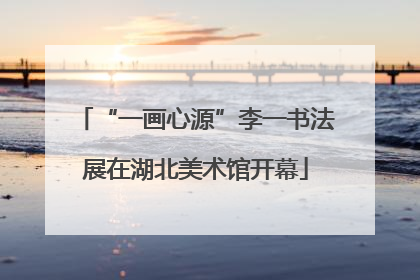 “一画心源”李一书法展在湖北美术馆开幕