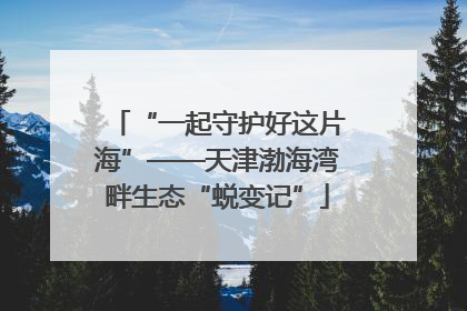 “一起守护好这片海”——天津渤海湾畔生态“蜕变记”