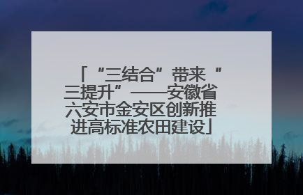 “三结合”带来“三提升”——安徽省六安市金安区创新推进高标准农田建设