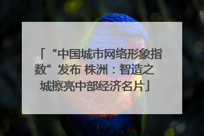 “中国城市网络形象指数”发布 株洲：智造之城擦亮中部经济名片