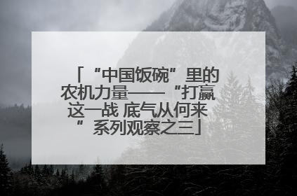 “中国饭碗”里的农机力量——“打赢这一战 底气从何来”系列观察之三
