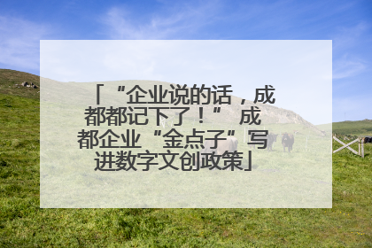 “企业说的话，成都都记下了！” 成都企业“金点子”写进数字文创政策