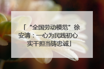“全国劳动模范”徐安清：一心为民践初心 实干担当铸忠诚