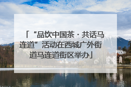“品饮中国茶・共话马连道”活动在西城广外街道马连道街区举办