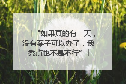 “如果真的有一天，没有案子可以办了，我秃点也不是不行”