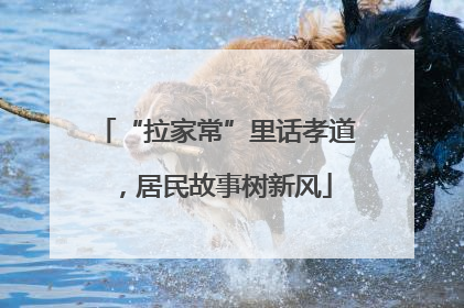 “拉家常”里话孝道，居民故事树新风