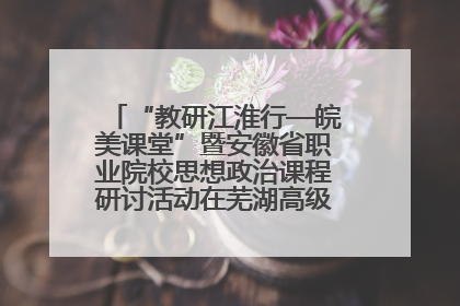 “教研江淮行—皖美课堂”暨安徽省职业院校思想政治课程研讨活动在芜湖高级职业技术学校举行