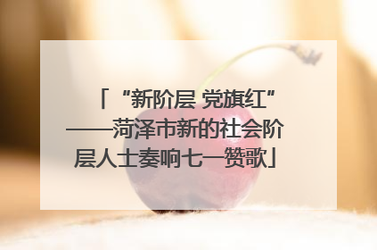“新阶层 党旗红”——菏泽市新的社会阶层人士奏响七一赞歌