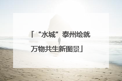 “水城”泰州绘就万物共生新图景