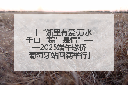 “浙里有爱·万水千山‘粽’是情”——2025端午慰侨葡萄牙站圆满举行