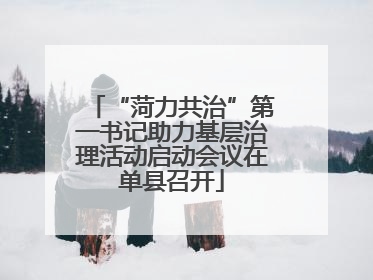 “菏力共治”第一书记助力基层治理活动启动会议在单县召开