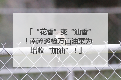“花香”变“油香”！南漳巡检万亩油菜为增收“加油”！