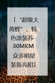 “超级大黄蜂”、特色涂装苏-30MKM 众多明星装备亮相