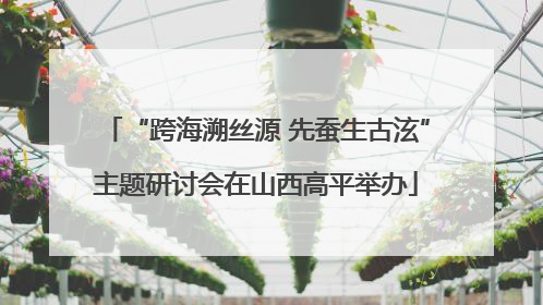 “跨海溯丝源 先蚕生古泫”主题研讨会在山西高平举办