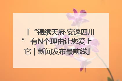 “锦绣天府·安逸四川” 有N个理由让您爱上它｜新闻发布最前线