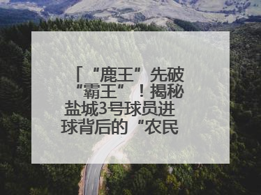 “鹿王”先破“霸王”！揭秘盐城3号球员进球背后的“农民街游侠”联盟