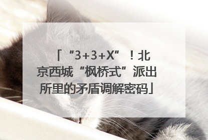 “3+3+X”！北京西城“枫桥式”派出所里的矛盾调解密码