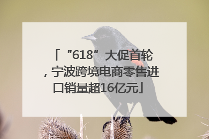 “618”大促首轮，宁波跨境电商零售进口销量超16亿元
