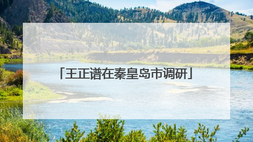 王正谱在秦皇岛市调研