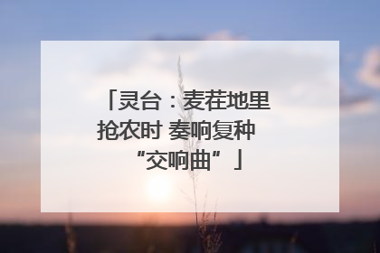 灵台：麦茬地里抢农时 奏响复种“交响曲”