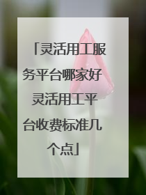 灵活用工服务平台哪家好 灵活用工平台收费标准几个点