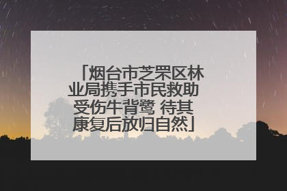 烟台市芝罘区林业局携手市民救助受伤牛背鹭 待其康复后放归自然