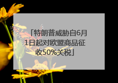 特朗普威胁自6月1日起对欧盟商品征收50%关税