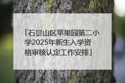 石景山区苹果园第二小学2025年新生入学资格审核认定工作安排