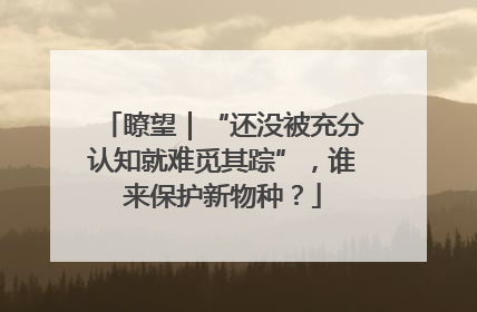 瞭望｜“还没被充分认知就难觅其踪”，谁来保护新物种？