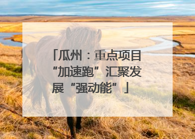 瓜州：重点项目“加速跑”汇聚发展“强动能”