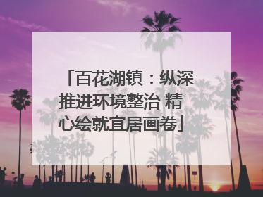 百花湖镇：纵深推进环境整治 精心绘就宜居画卷