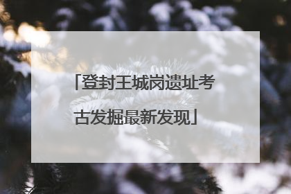 登封王城岗遗址考古发掘最新发现