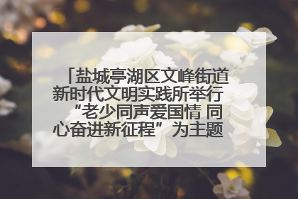盐城亭湖区文峰街道新时代文明实践所举行“老少同声爱国情 同心奋进新征程”为主题的红色文化活动