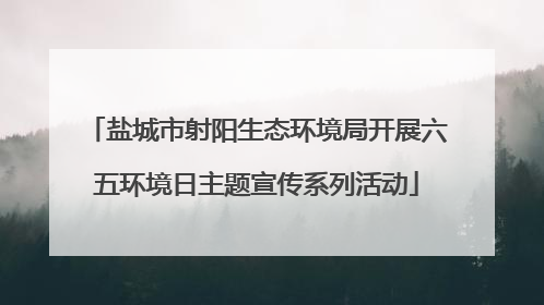 盐城市射阳生态环境局开展六五环境日主题宣传系列活动