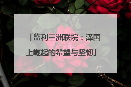 监利三洲联垸：泽国上崛起的希望与坚韧