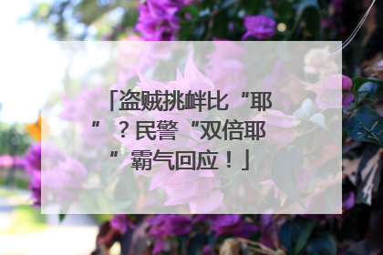 盗贼挑衅比“耶”？民警“双倍耶”霸气回应！