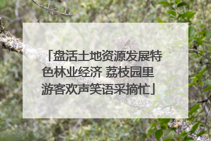 盘活土地资源发展特色林业经济 荔枝园里游客欢声笑语采摘忙