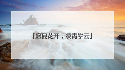 盛夏花开，凌霄攀云