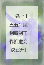 省“十五五”规划编制工作推进会议召开