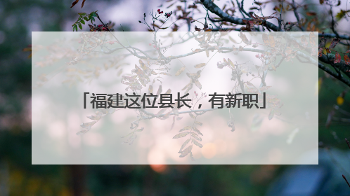 福建这位县长，有新职